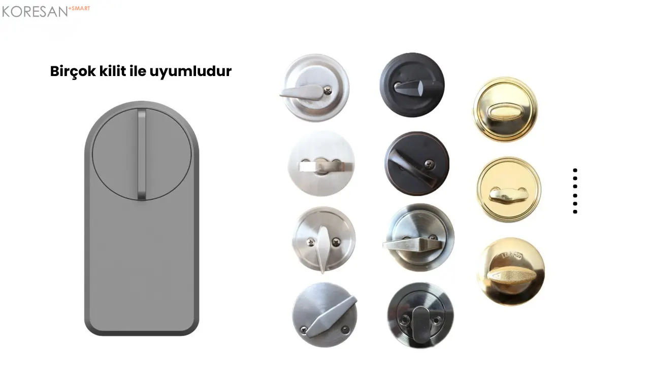 FX101 Tuya WiFi Akıllı Kapı Kilidi