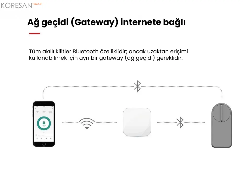 FX101 Tuya WiFi Akıllı Kapı Kilidi