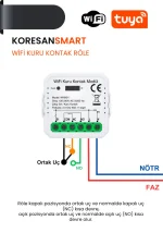 Wifi Kuru Kontak Röle - Smart Koresan