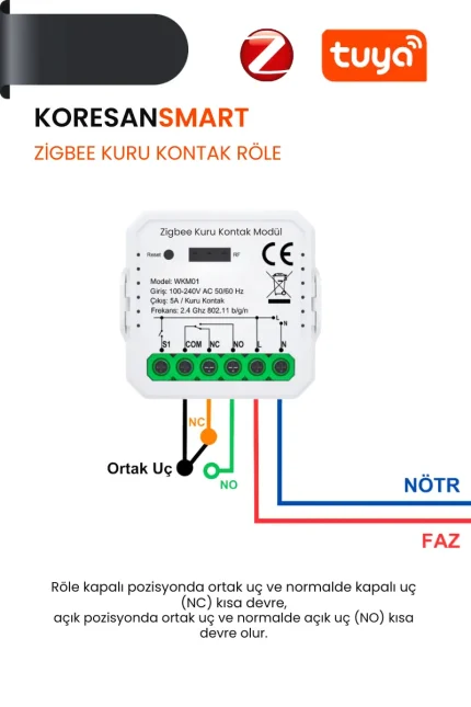 Zigbee Kuru Kontak Röle - Smart Koresan